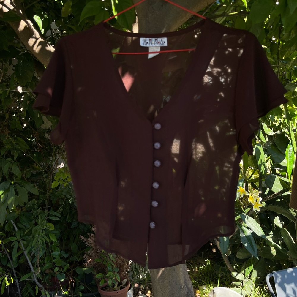 Sheer brown blouse